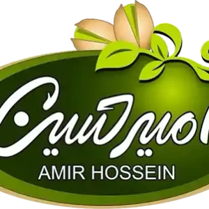 امیرحسین