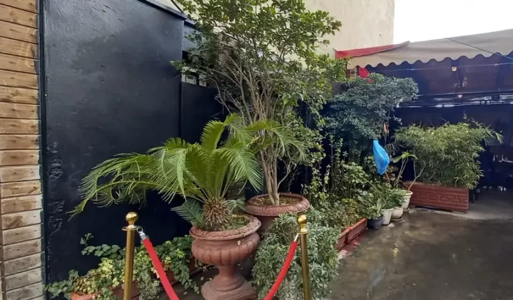 bfa722e6765a46608adde507ec864792-5xED994H6UuMAr