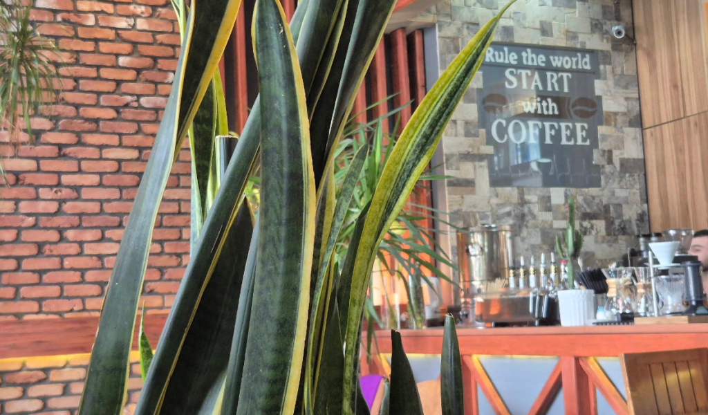 download - 2025-09-14T124442.884