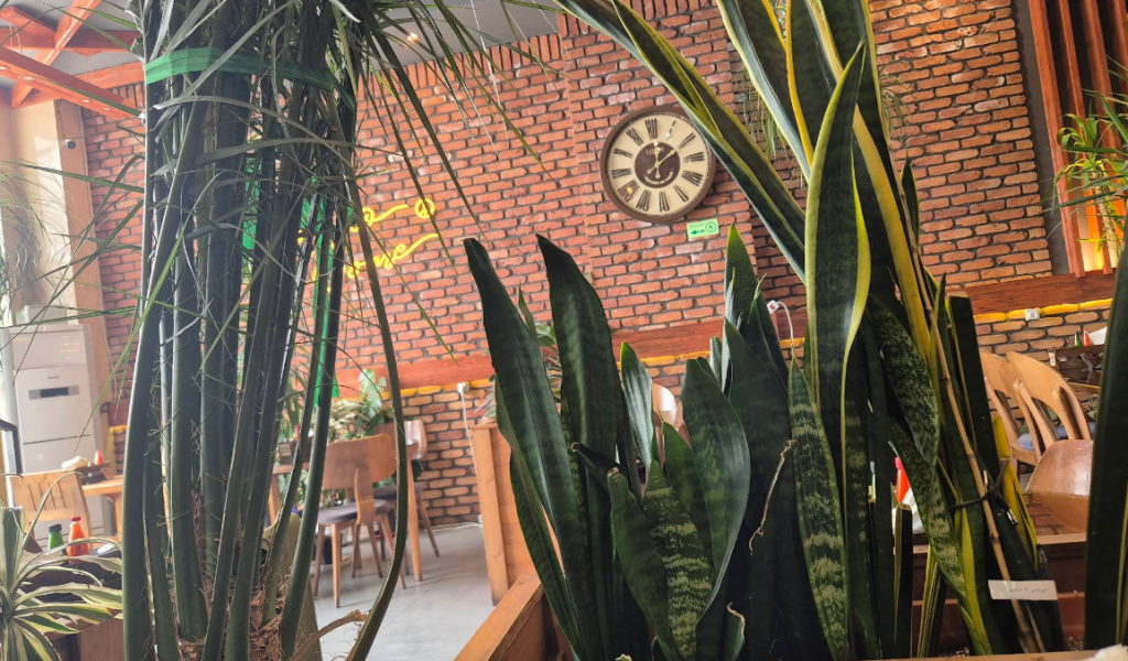 download - 2025-09-14T124506.921