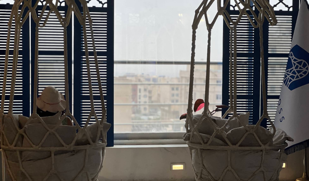 download - 2025-09-16T151256.407