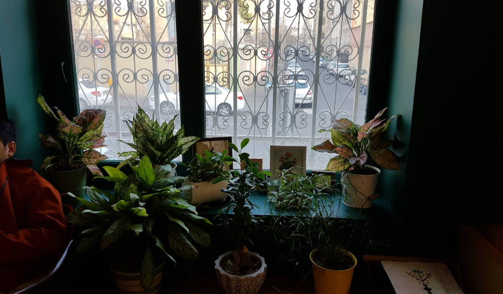 download - 2025-09-17T105914.234